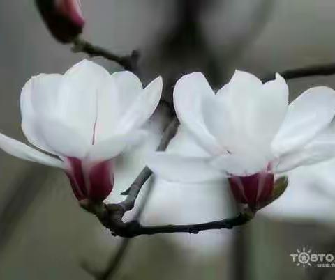 在晕开的涟漪里，想你