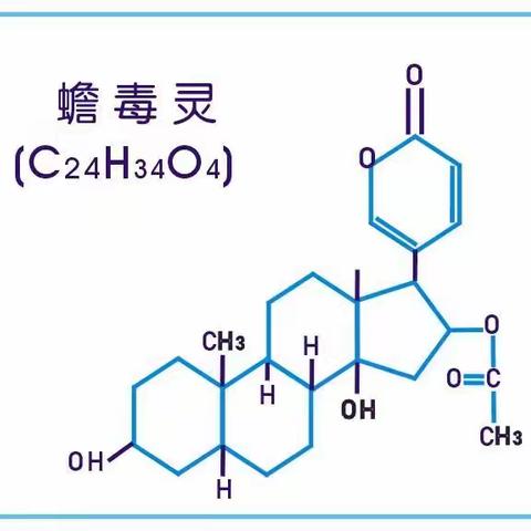 研究表明:蟾毒灵联合吉非替尼，可明细抑制肿瘤细胞的生长，逆转肺腺癌H1975细胞对于吉非替尼的耐药性