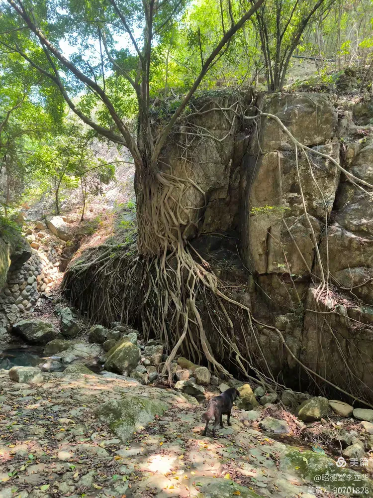 图片[9]-昭德堂李立华的美篇-华闻时空