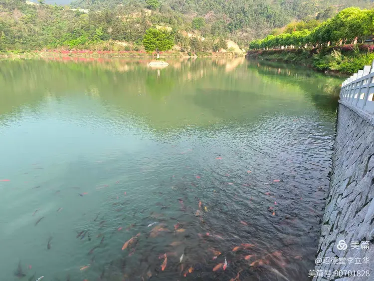 图片[16]-昭德堂李立华的美篇-华闻时空