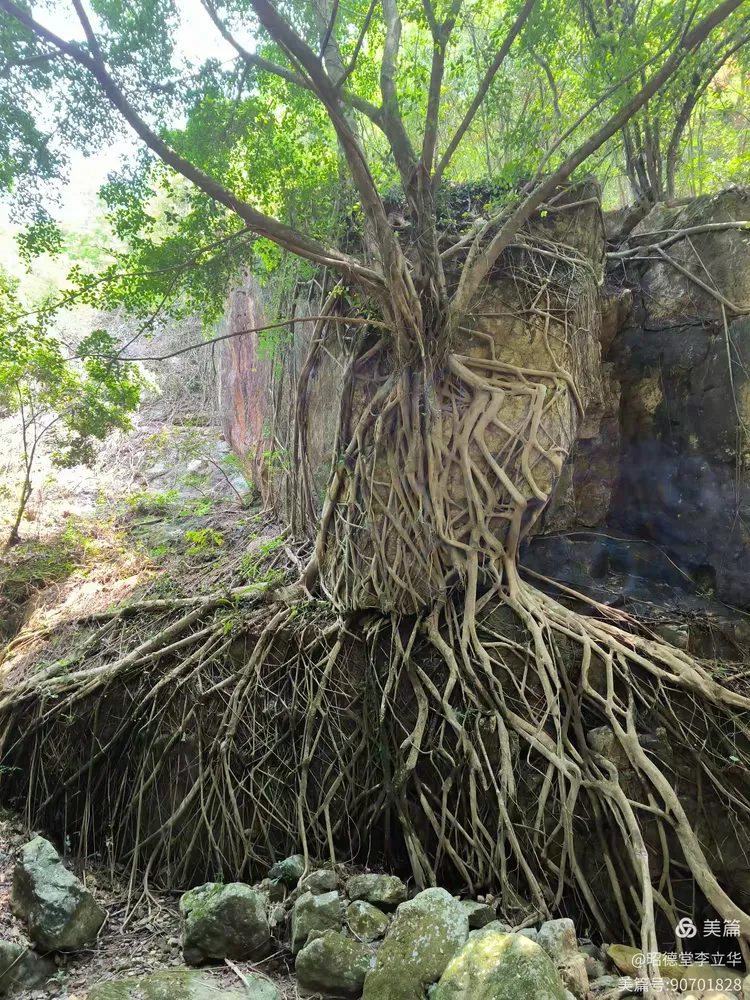 图片[11]-昭德堂李立华的美篇-华闻时空