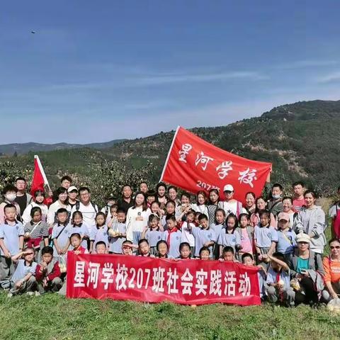 星河学校207班秋季"赏田园风光，享采摘乐趣"社会实践活动