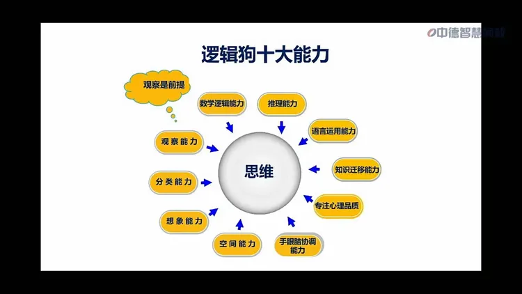 高三跨科逻辑推理专项（多学科逻辑链）的简单介绍