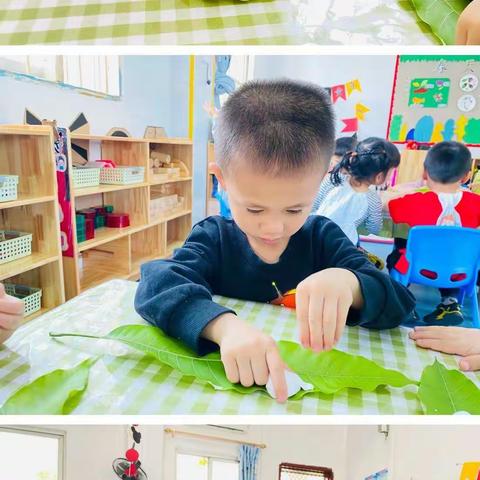 【荷城红烛  育人先锋】登龙桥小学附属幼儿园中二班精彩瞬间