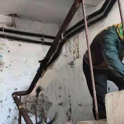 “我为群众办实事”实践活动                         玉泉中学党支部