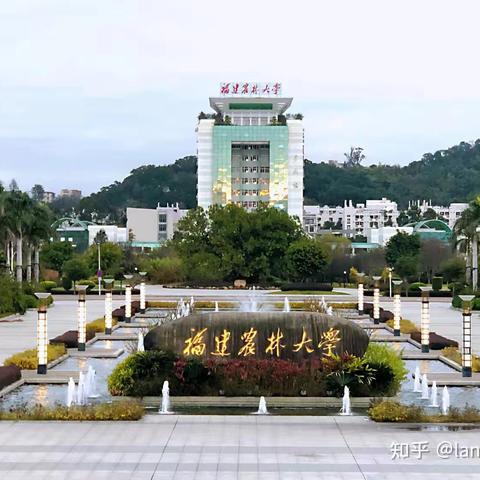 数十载同窗聚首 半世纪岁月流金