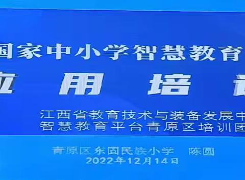 提升教学能力，促进创新发展——东固民族小学“国家中小学智慧教育平台”应用培训与考核过关活动