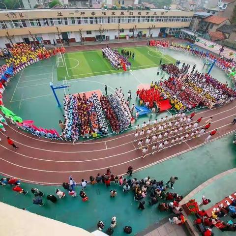🌟你最闪亮🌟实验小学第33届田径运动会  六(四)班风采