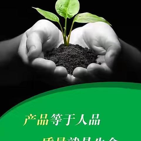 紧绷质量这根弦 咬定质量不防松！——成装一厂成四车间玻甲班