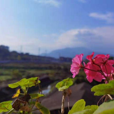 窗外的风景
