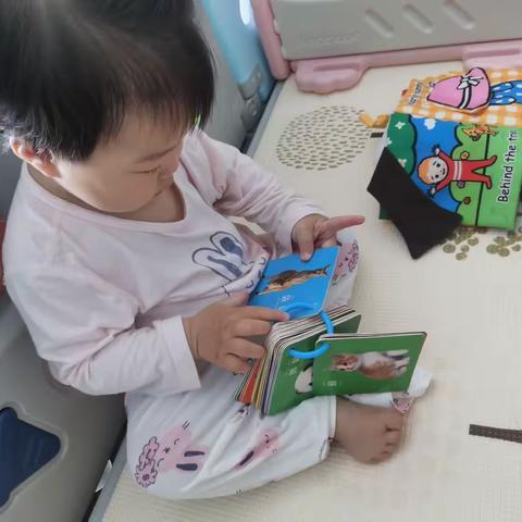 可儿成长记录  M11D3