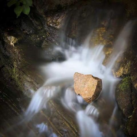 《源》摄影//文字//风雨河谷