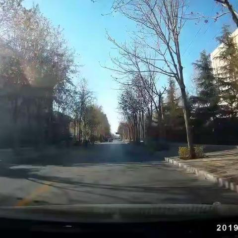 好戏2019.3