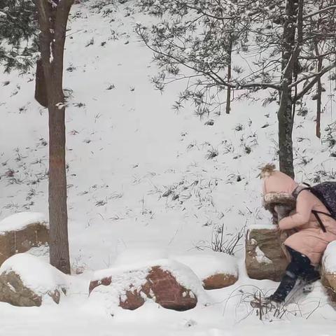 2019.02.14水上公园雪景