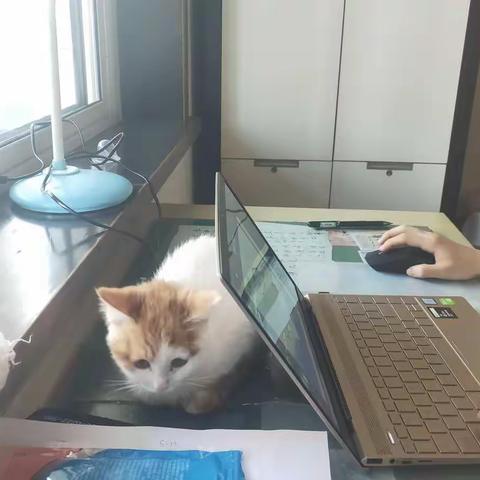 陪伴