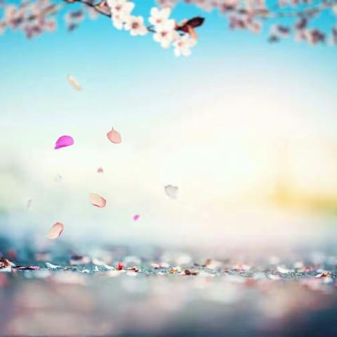 🌙🌙🌙🌟🌟🌾🌾🍃🍃🌻🌻🌻🌻🍃🍃🌾🌾🌟🌟🌙🌙🌙