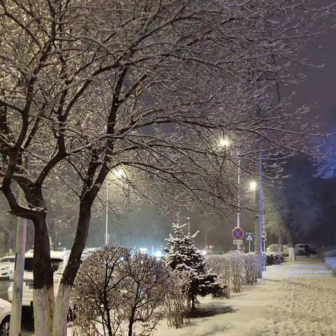 2022年，立春后第一场雪（齐齐哈尔）