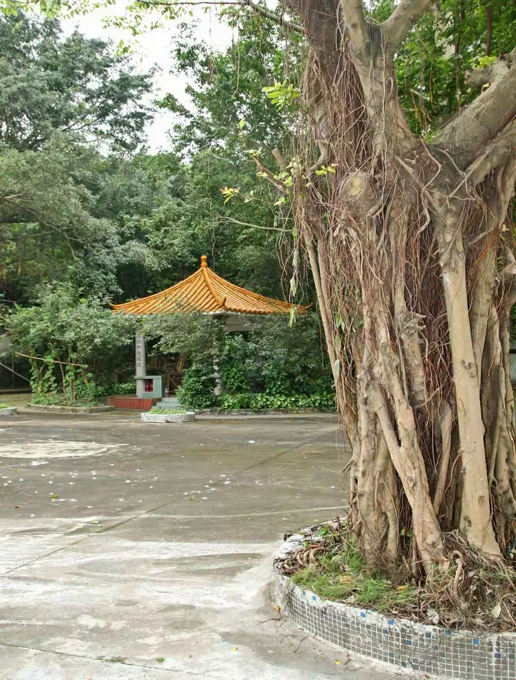 濠头乡记行。