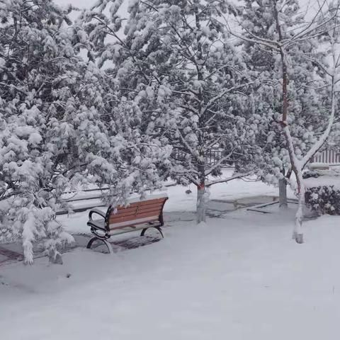 鹿谷小学一1⃣班“与雪共舞,雪艺文化”活动剪影