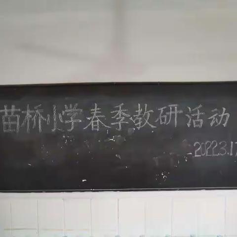 生有涯，学无涯——苗桥小学2022年春季数学教研活动