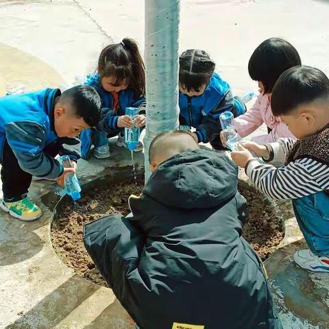 博世幼儿园——小C班植树节！