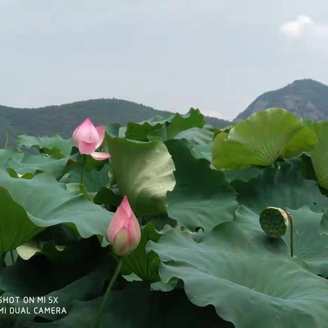 我的快乐暑假^O^湖海塘小学二(6)班章昕岑