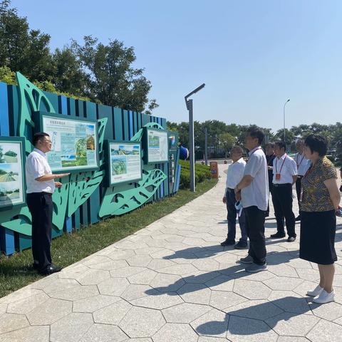 区政协组织部分委员视察新区渤海环境综合治理进展情况