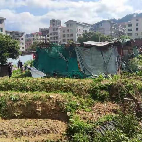 【“两违”整治】治违无死角