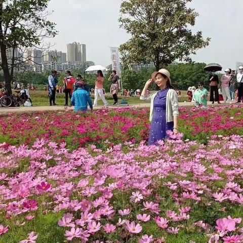 夏花灿烂，芬芳滿园