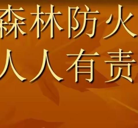 “保护绿色森林，杜绝森林火灾”田心小学森林防火安全教育系列