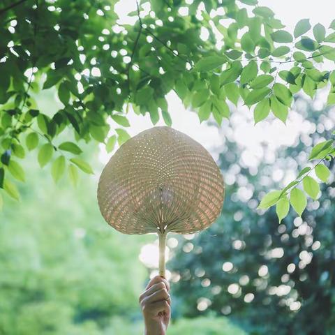 悠然夏日，书香暑假——杨春湖实验学校小学部教师临池习诗