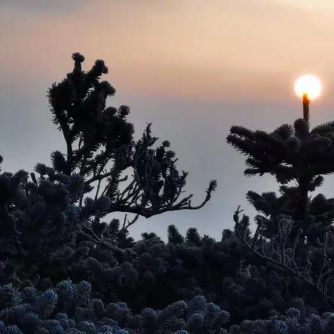 清明重装牛背梁