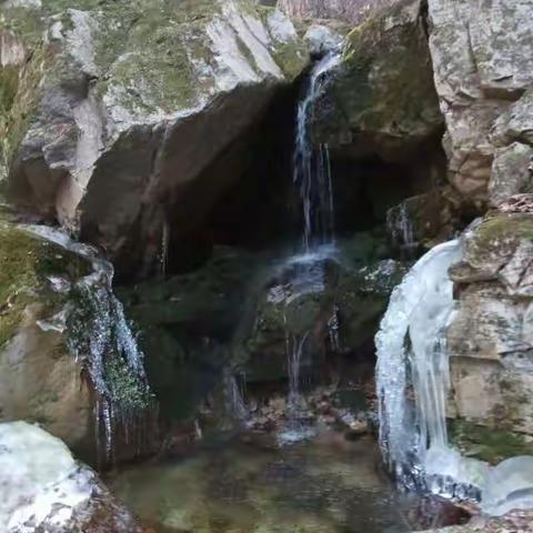 寒鸦哀嚎山无声，溪水默默尽成冰。无奈黄叶卷入地，枝头挂满红灯笼。