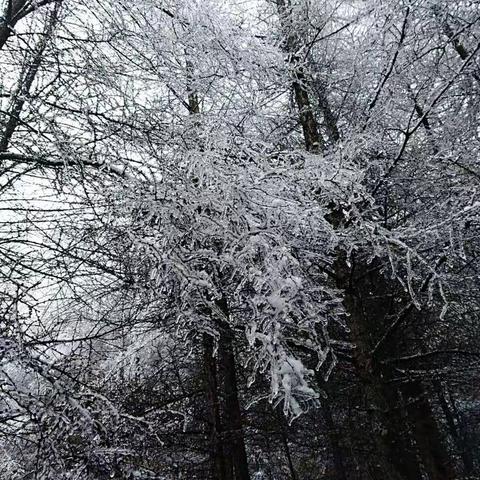 冰雪露营光头山