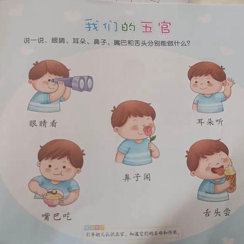 振兴幼儿园小班第一二三周律动视屏