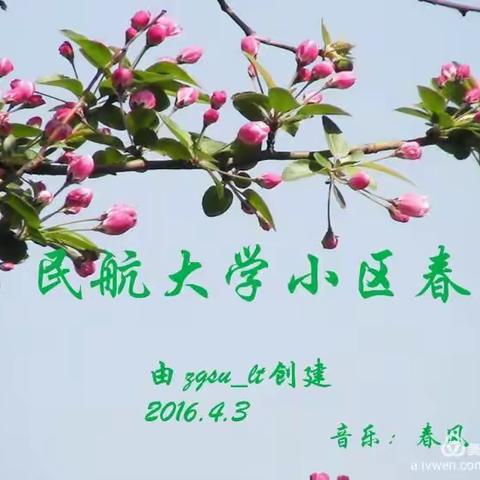 2016中航大小区春色