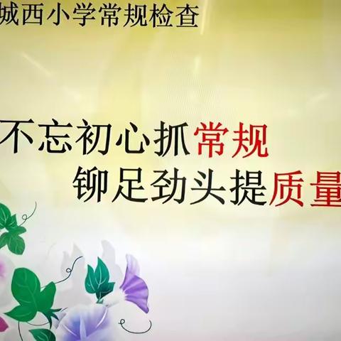 不忘初心抓常规 铆足劲头提质量——城西小学常规检查纪实