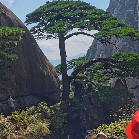 303班 尹靖琪—最美黄山行