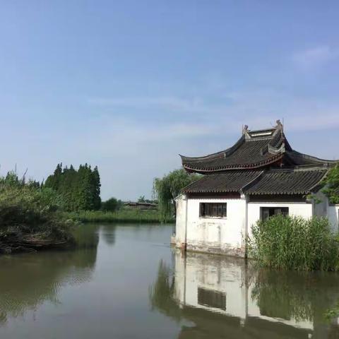 沙家浜与夜上海