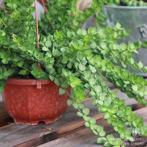 “疫”路奋进，书写最美青春——十四中学子优秀作文展（一）