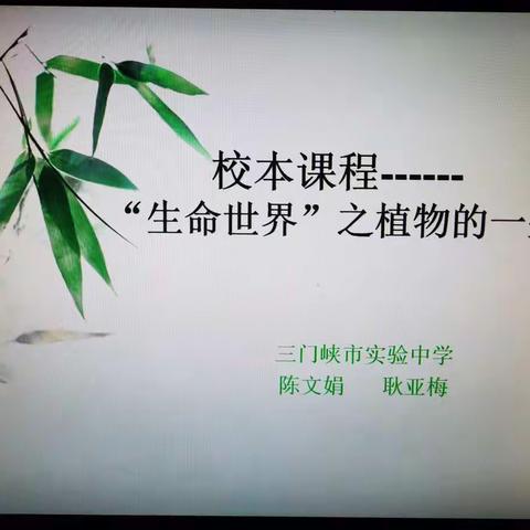 【大美实中】校本课程篇---“生命世界”之植物的一生