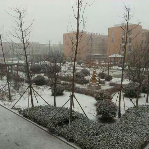 冬日校园
