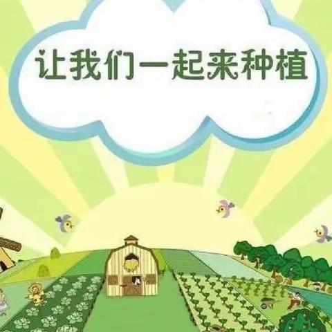 小小种植区，劳动助成长——祥符区直属幼儿园中四班种植区