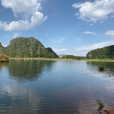 三生三世十里桃花