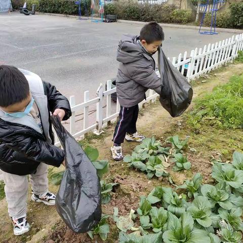 假期前丰收的喜悦