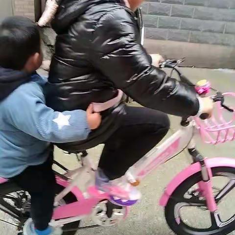 红毯争宠的美篇