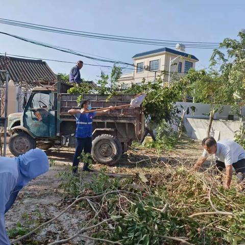 梅东村持续进行人居环境整治大扫除活动