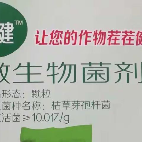 央视揭秘：好的菌肥价格高，到底因为啥？