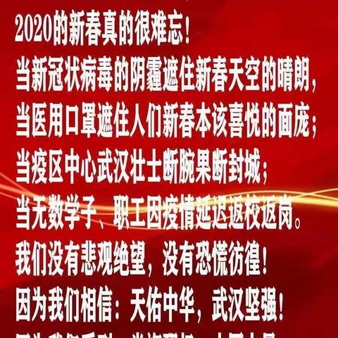 众志成城，静待春暖花开——黄河路小学五（二）班红领巾在行动