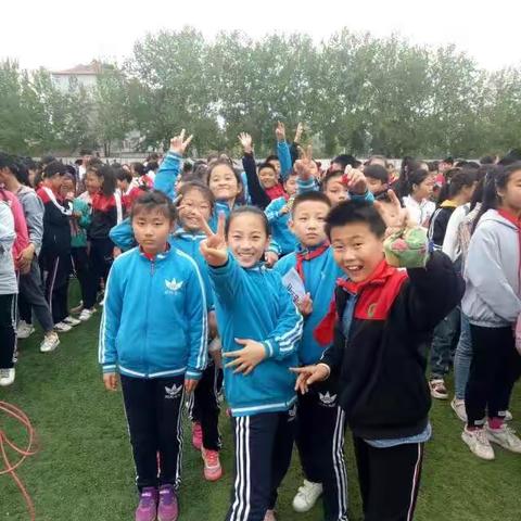 思维导图创意写作社团总结